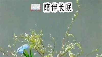 成人故事助眠短篇免费阅读