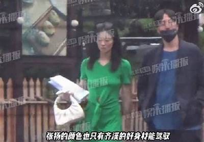 成人免费高清视频在线观看