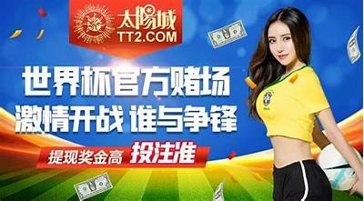 高清无码成人视频免费观看